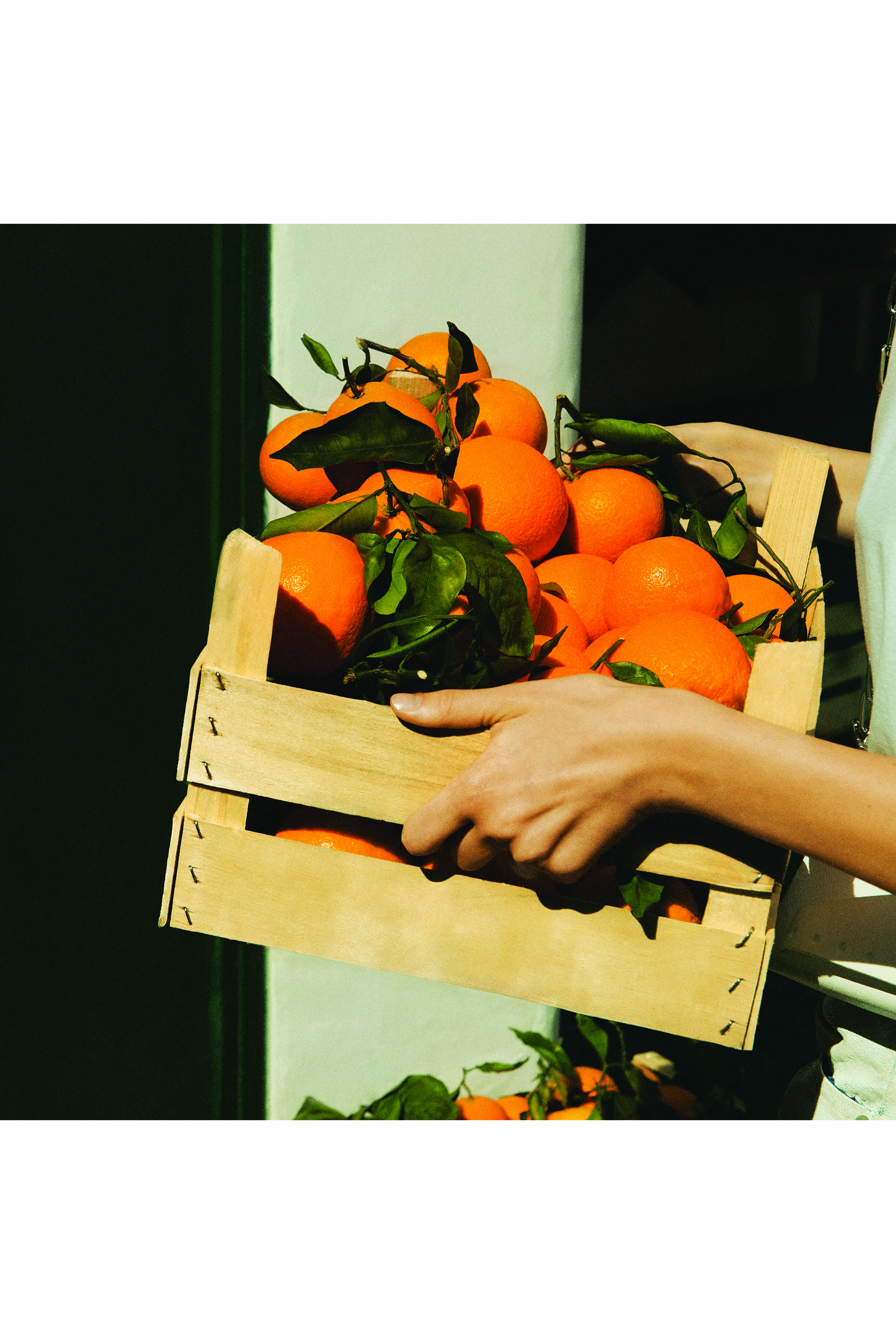 Replica Never-Ending Summer