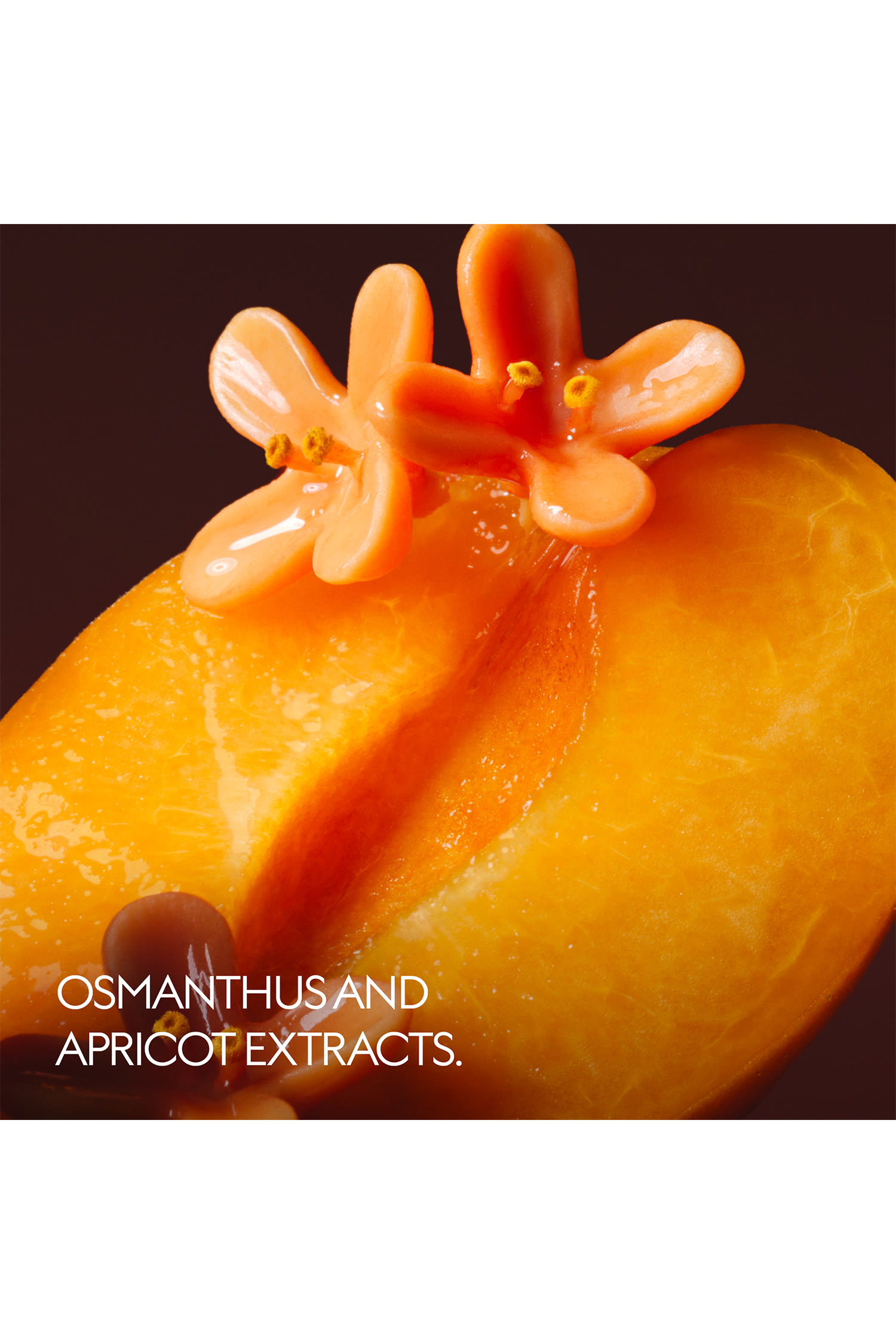 The Alchemist's Garden Osmanthus Nectar Eau de Parfum