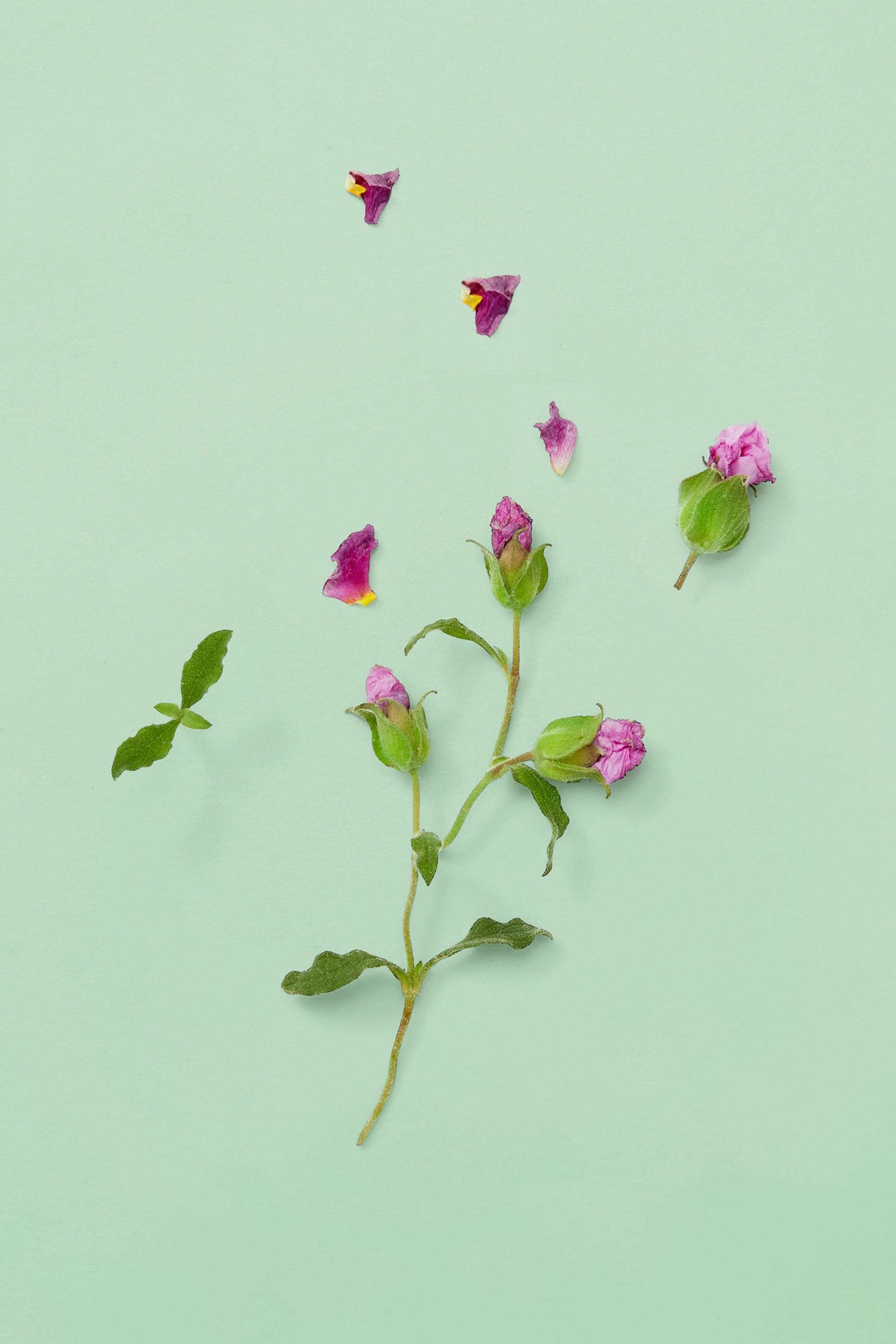 Gucci Guilty Pour Homme Eau de Parfum