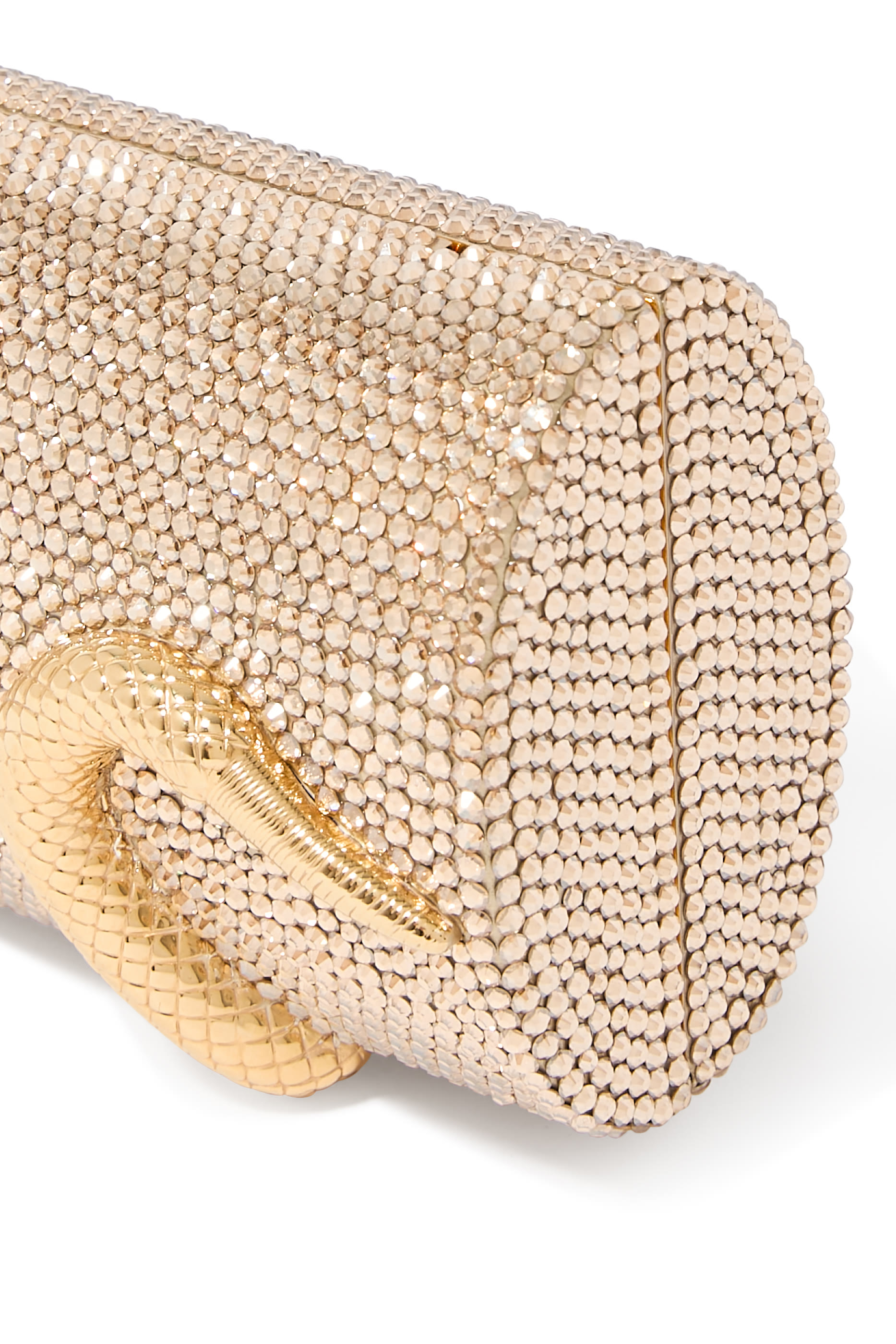  Spiral Snake Crystal Clutch 