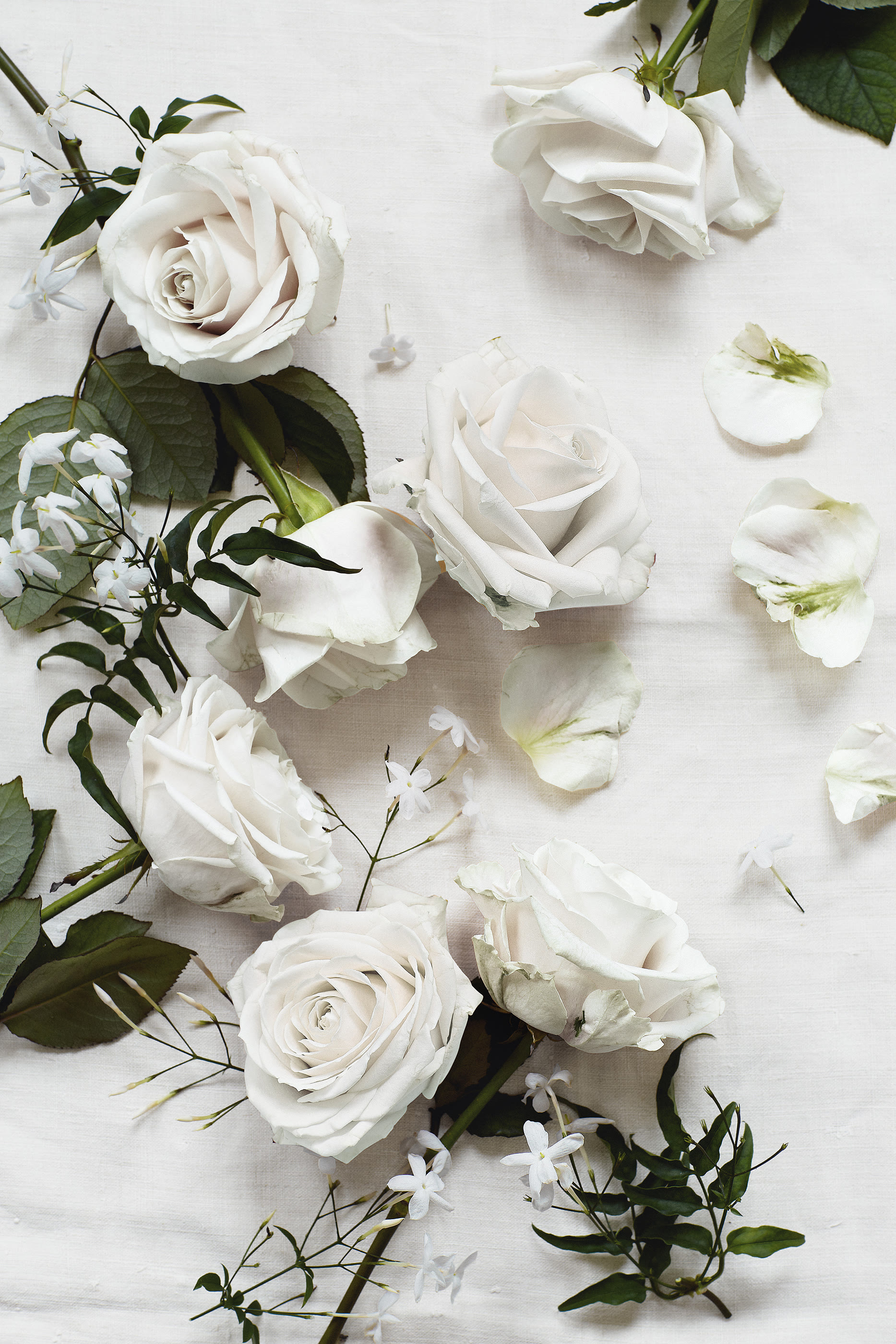 Flowers Fragrance Oil