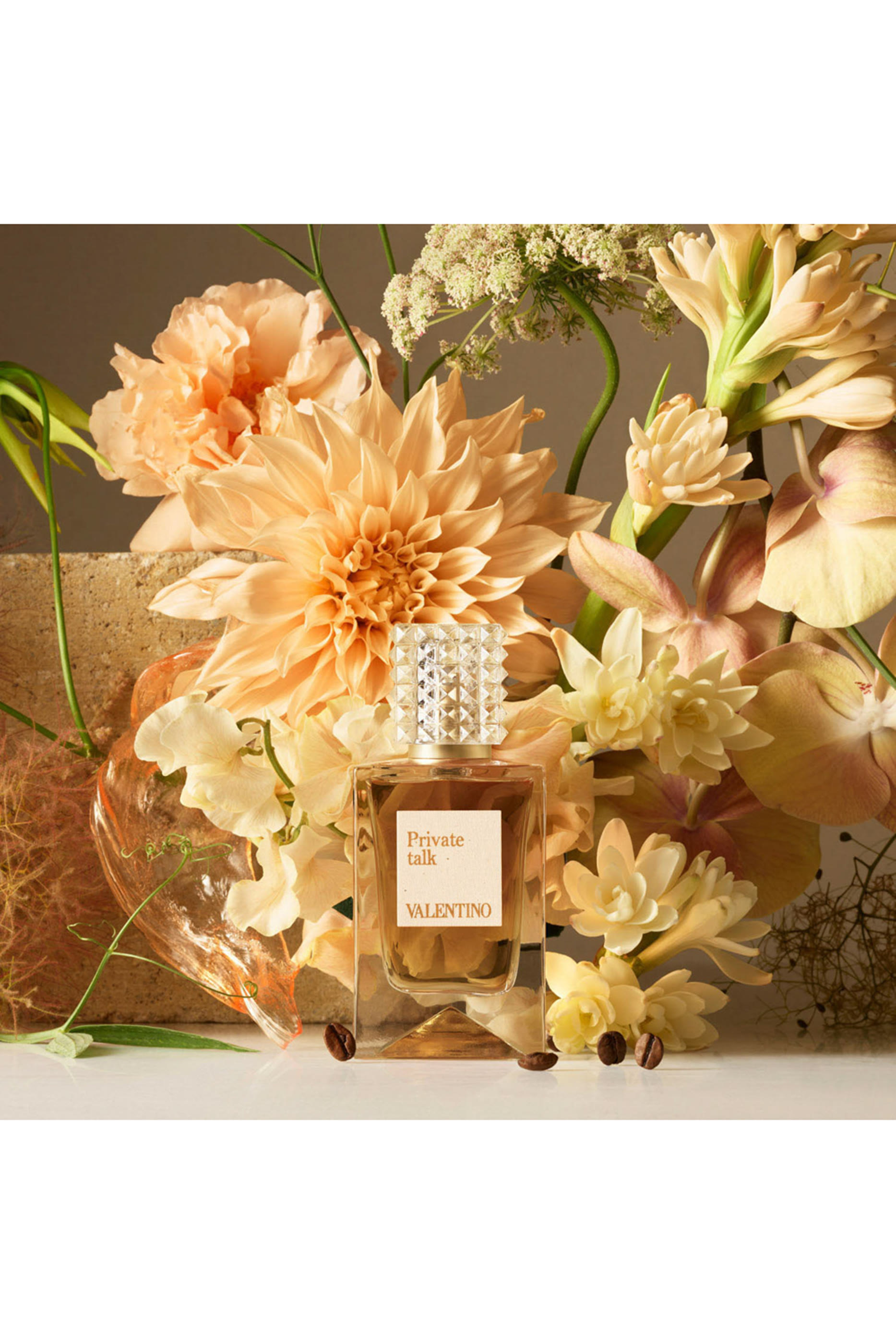 Anatomy Of Dreams - Private Talk  Parfum