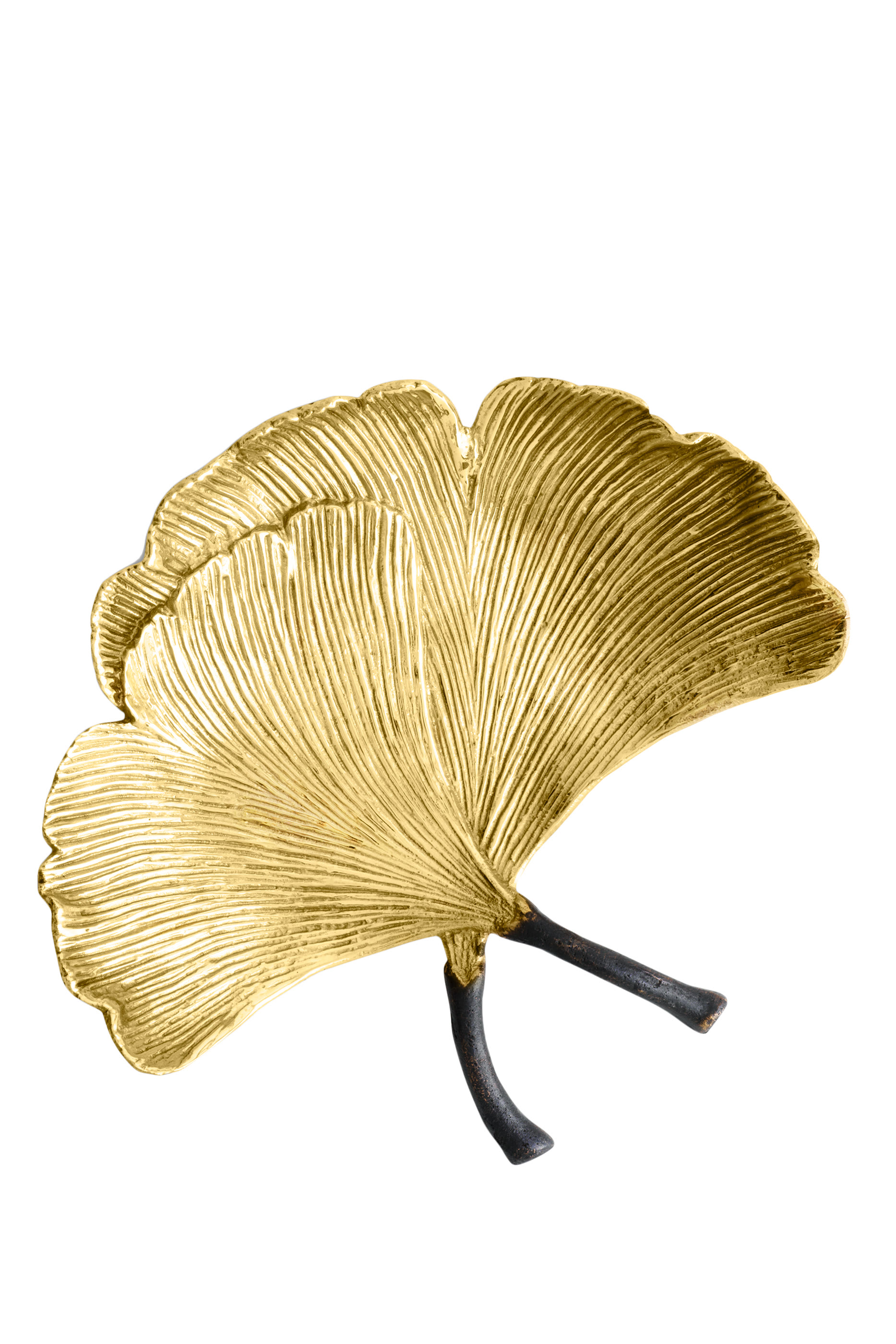 Golden Ginkgo Catch All