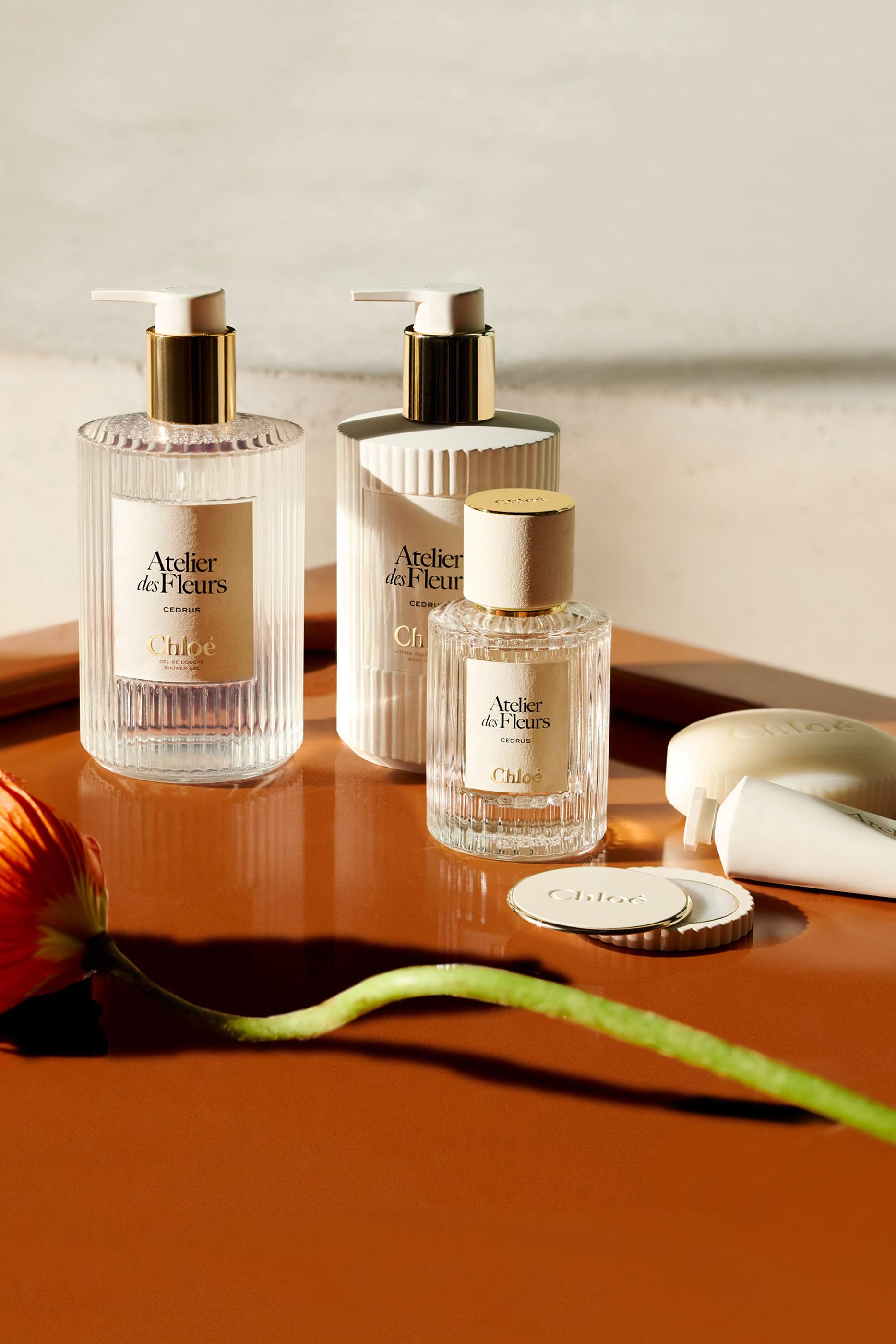 Atelier des Fleurs Cedrus Perfumed Shower Gel