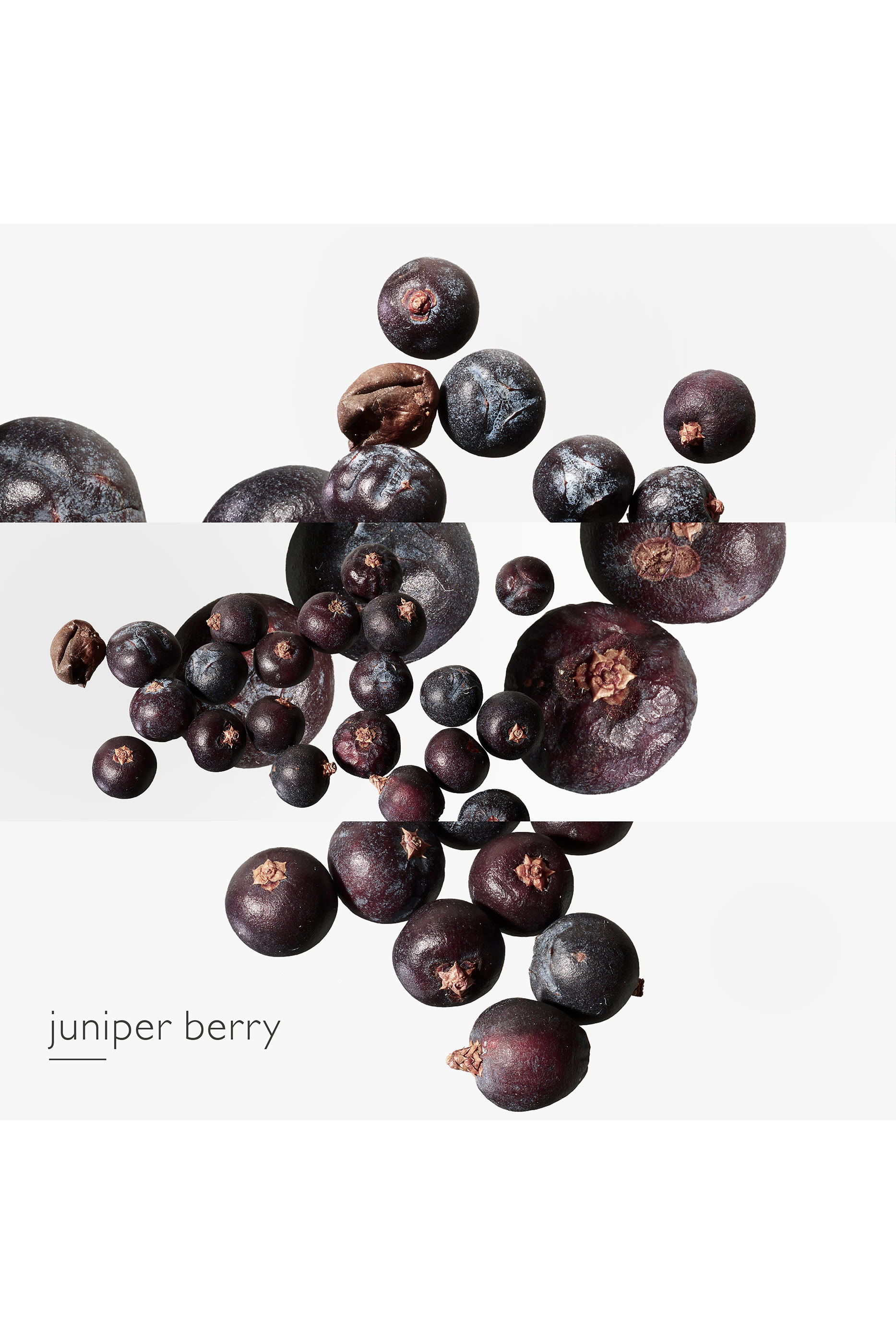 Eau des Merveilles Bleue Eau De Toilette