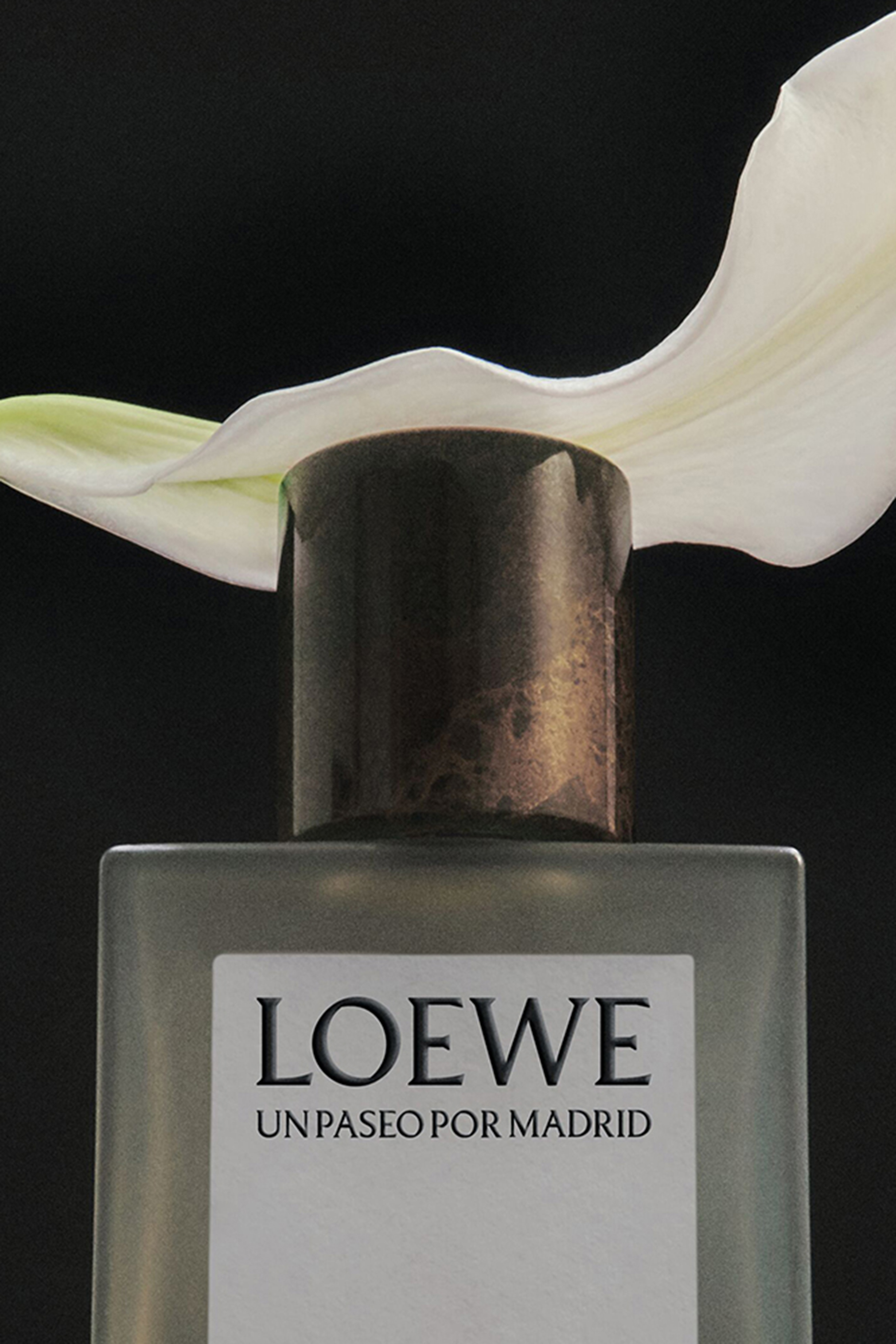 Un Paseo Por Madrid &Oacute;pera Eau de Parfum