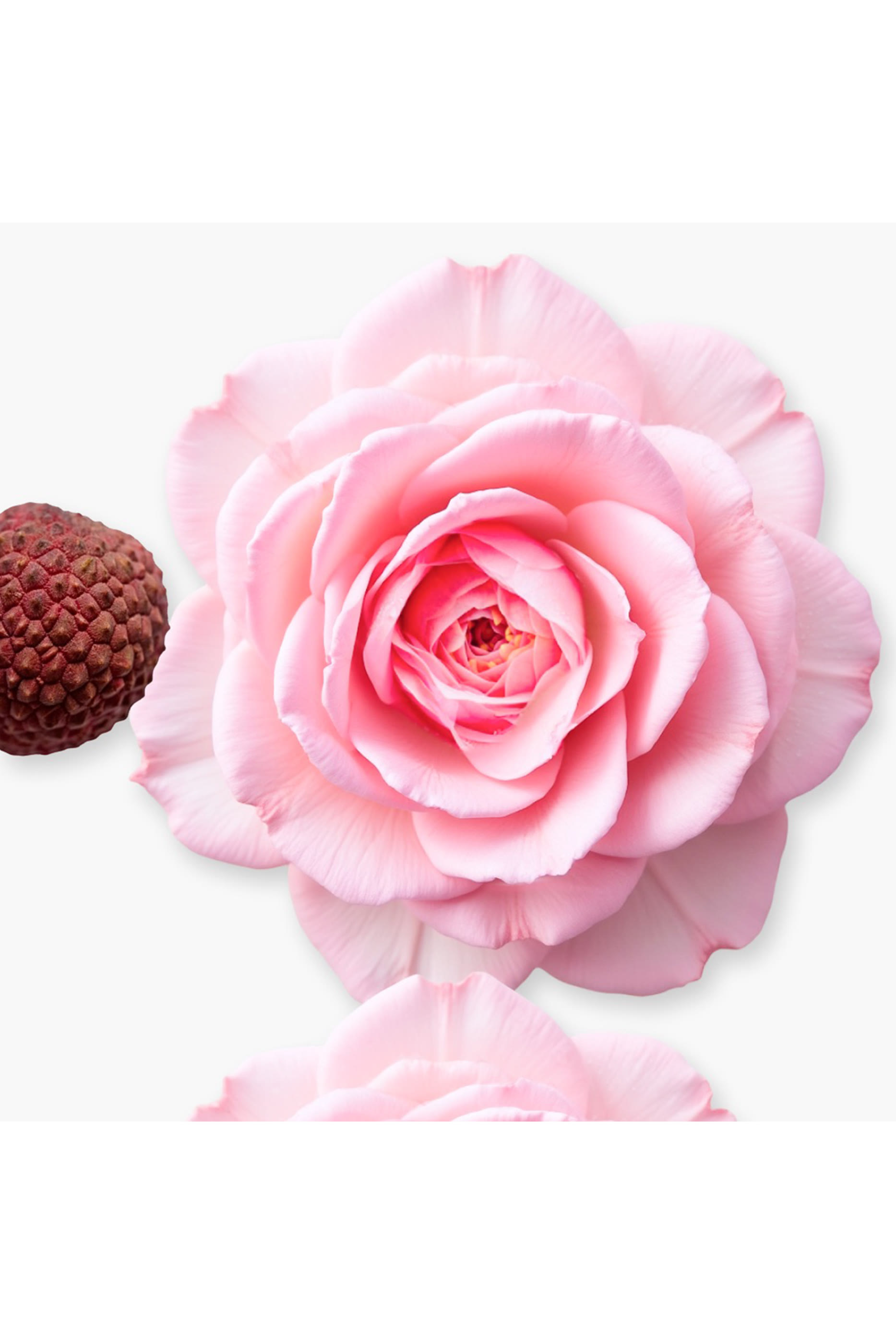 Delina Refill Body Cream 