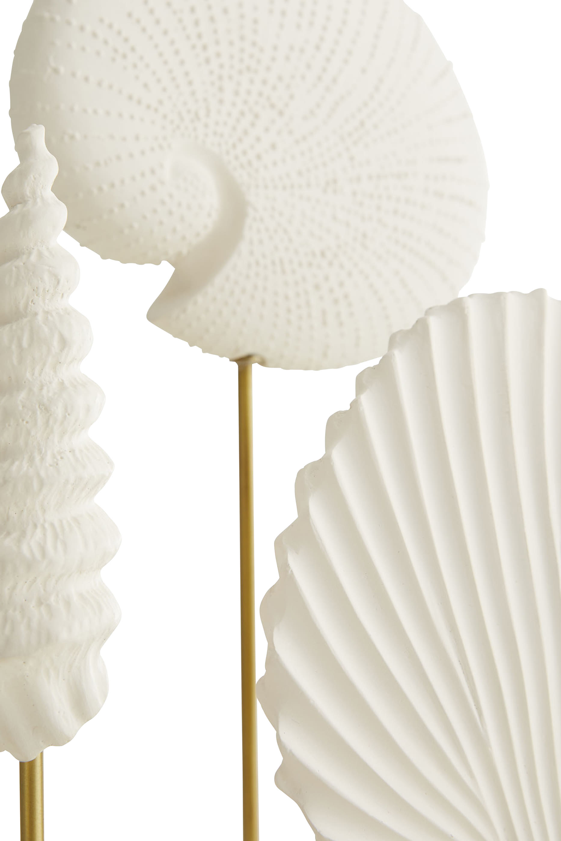Shell Sculptures, Set of 3