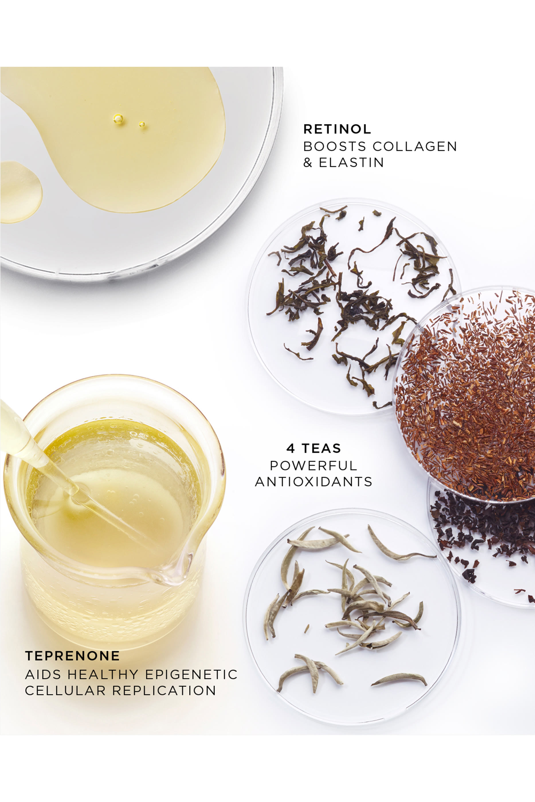 The Absolute Intense Renewal Serum Refill