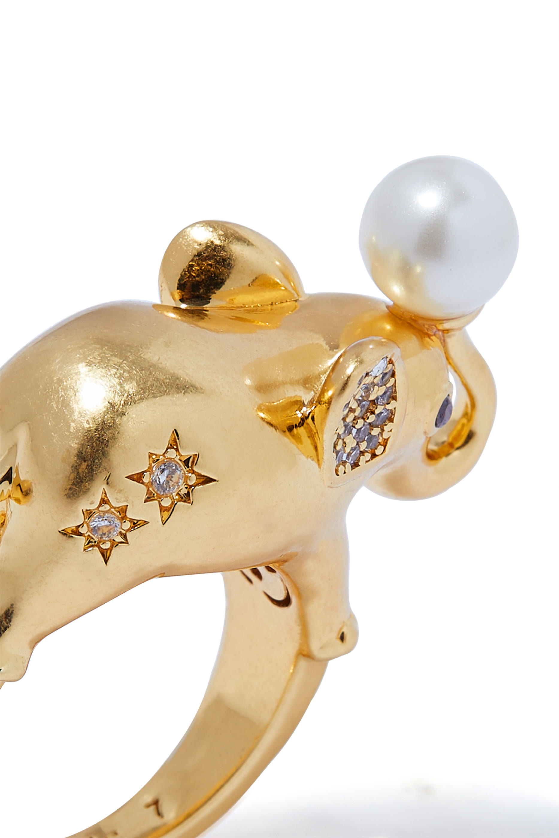 Winter Carnival Ring