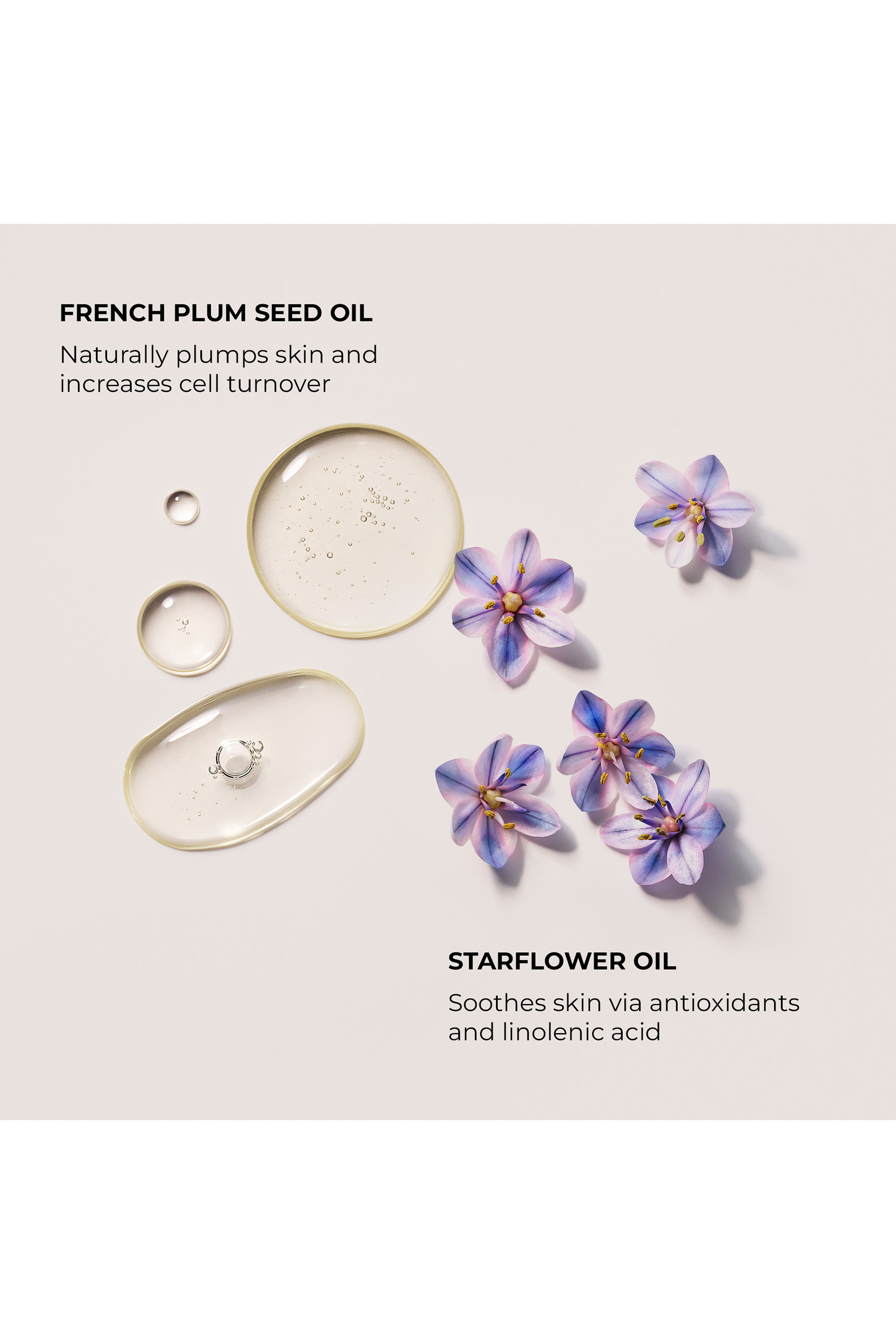 Ambre Vanille Aromatic Bath & Body Oil, 100ml