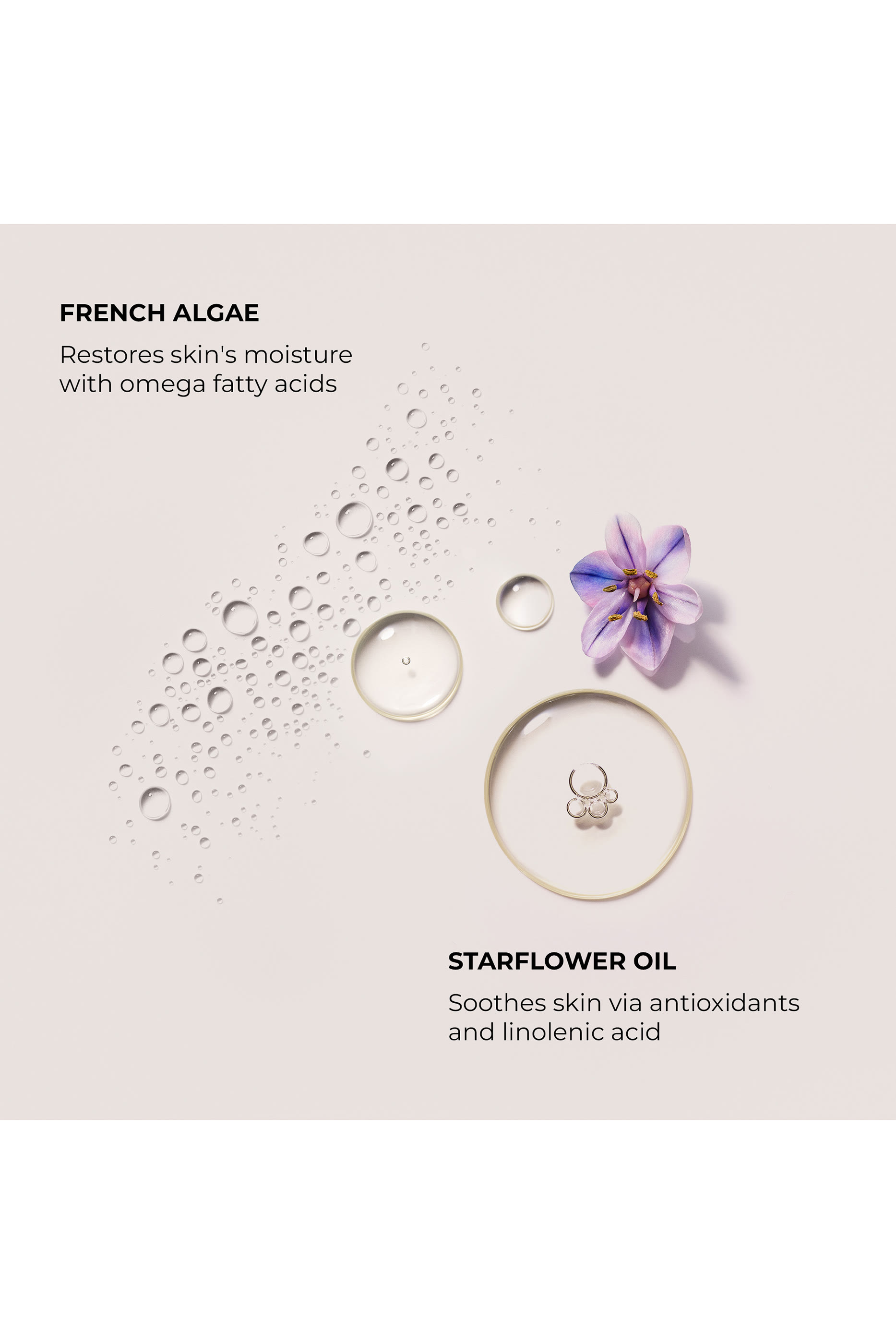 Almond Coconut Serum Body Cream, 200ml