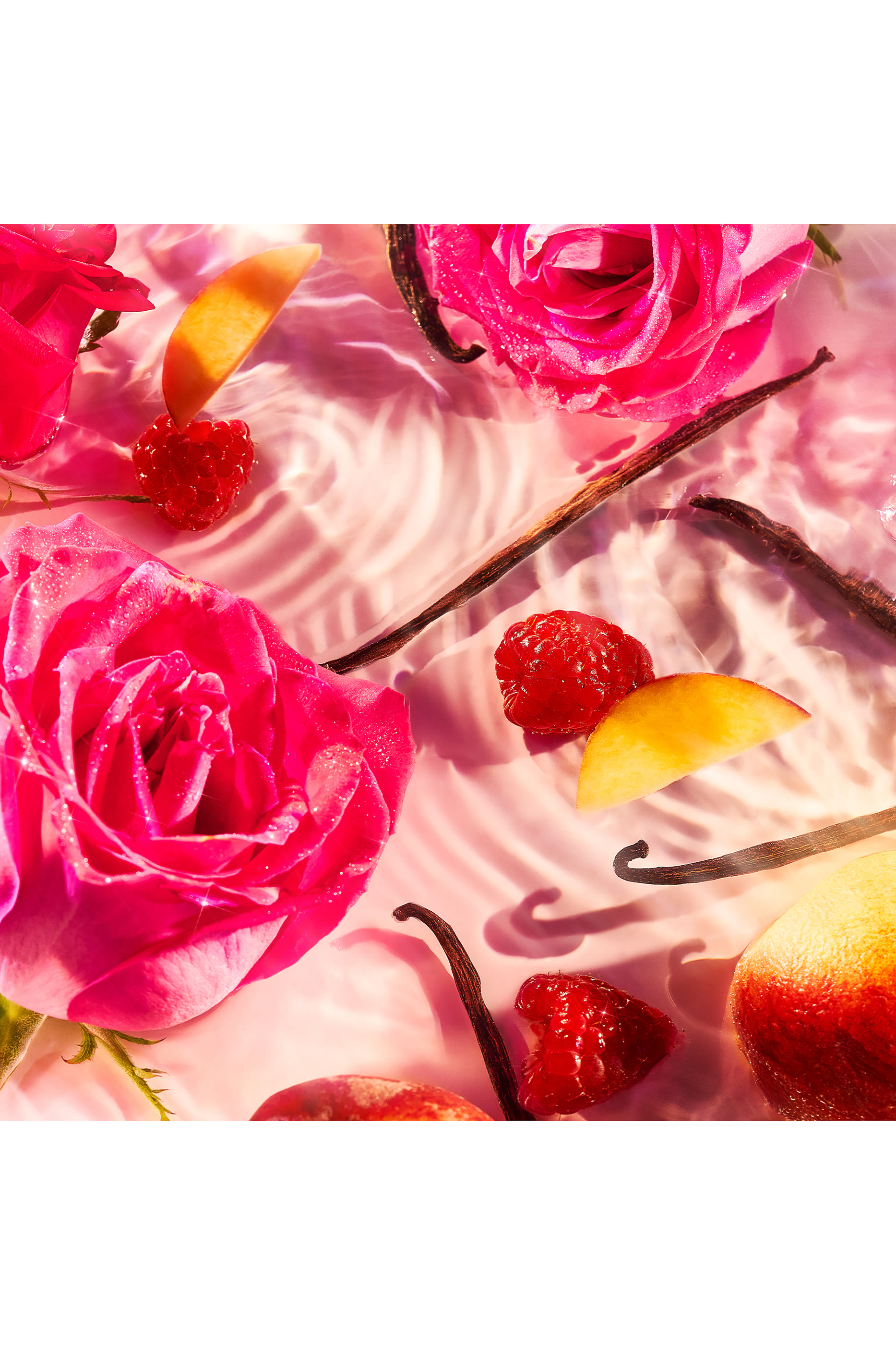 Elixir Festive Coffret