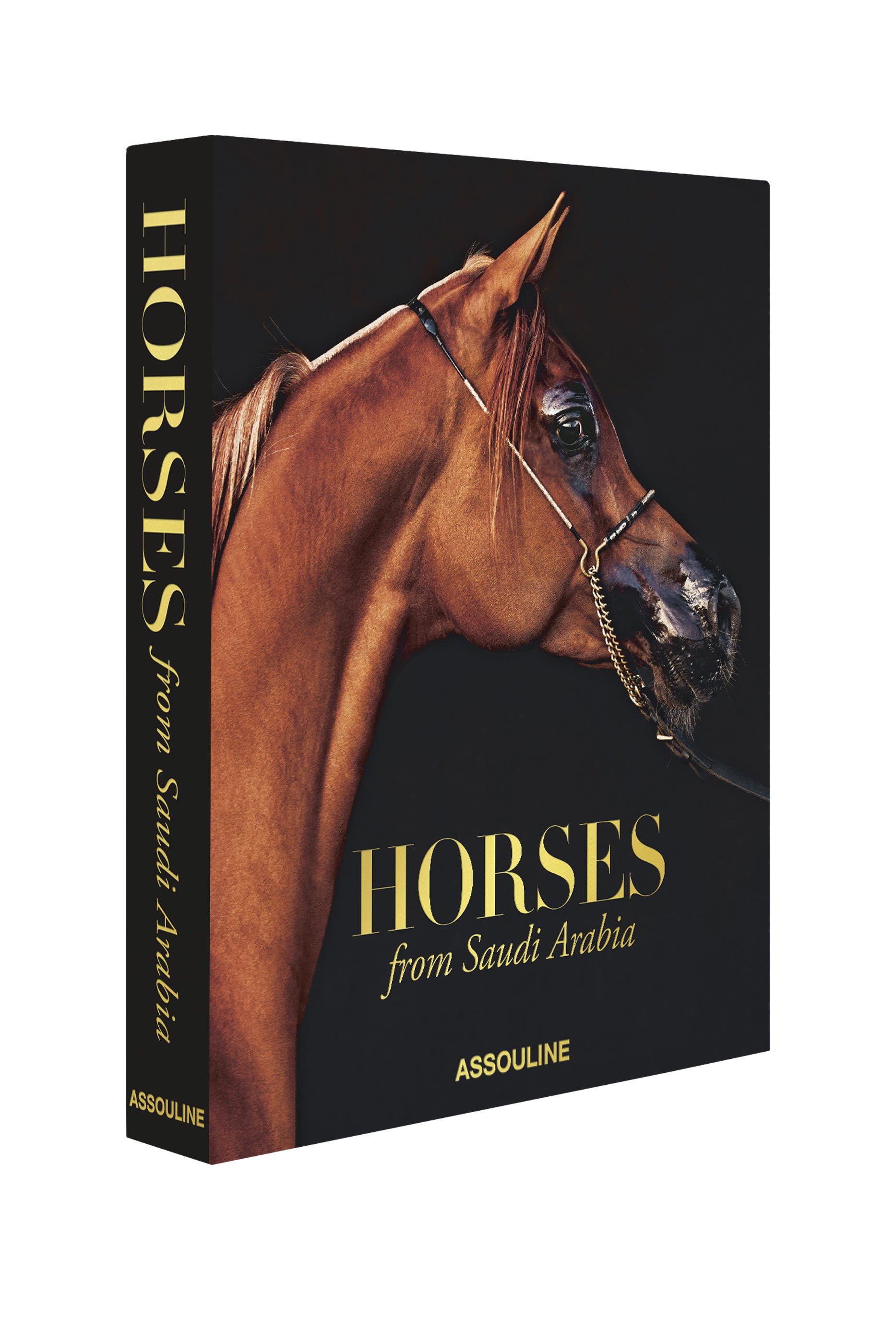 Horses From Saudi Arabia