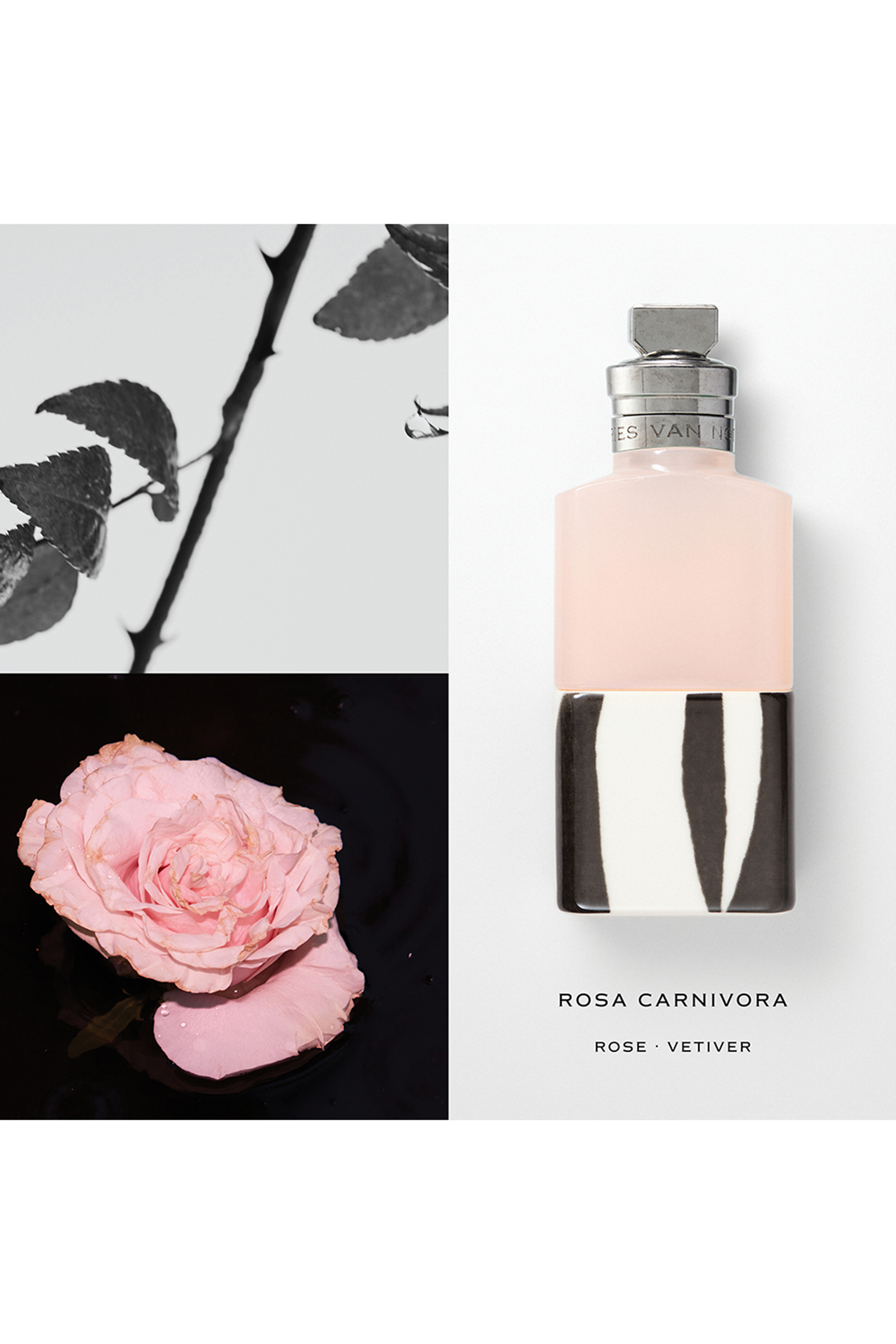 Rosa Carnivora Eau de Parfum