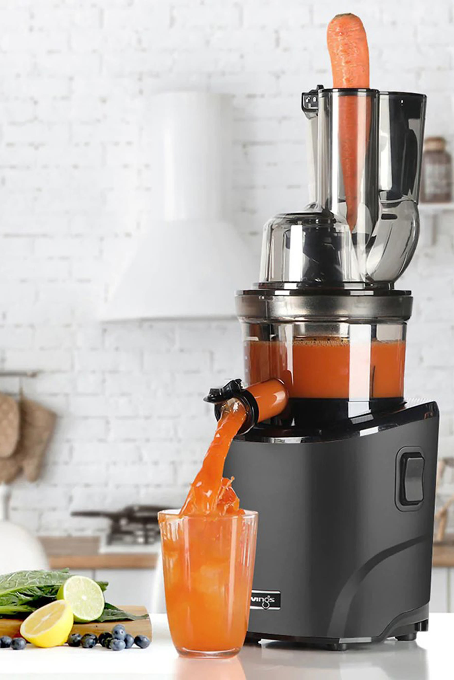 REVO830 Cold Press Juicer